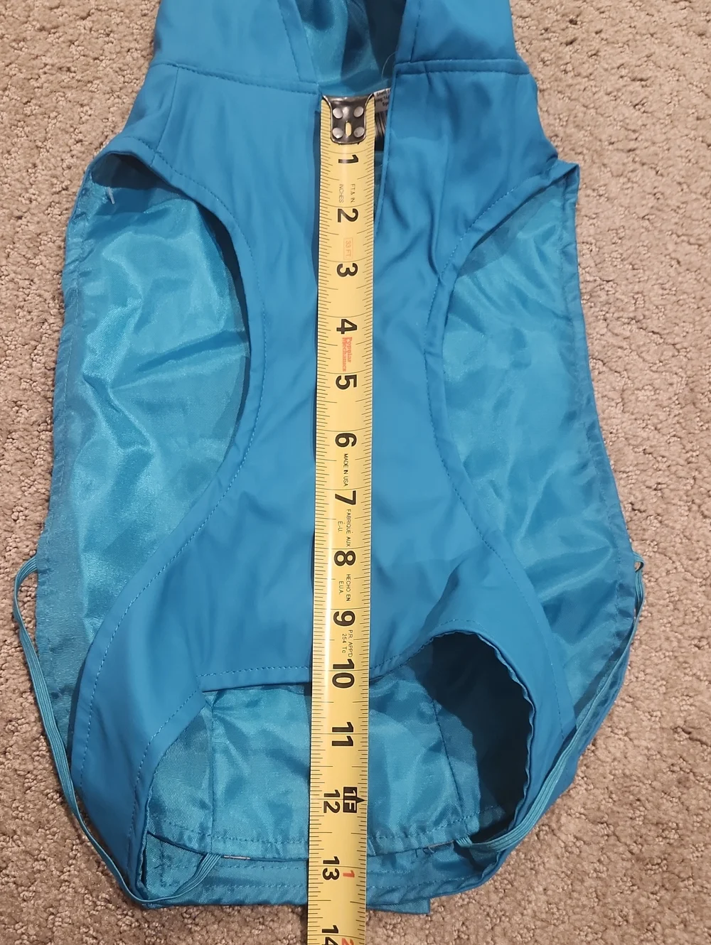 Top Paw bright blue